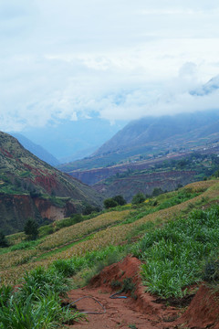 云雾缭绕山村