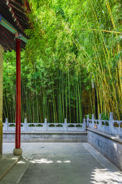 北京门头沟区潭柘寺景区风光