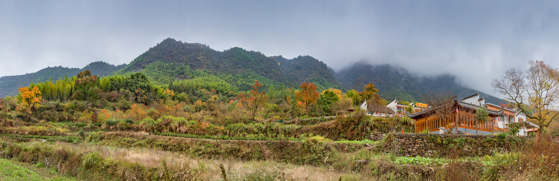 塔川秋色全景图