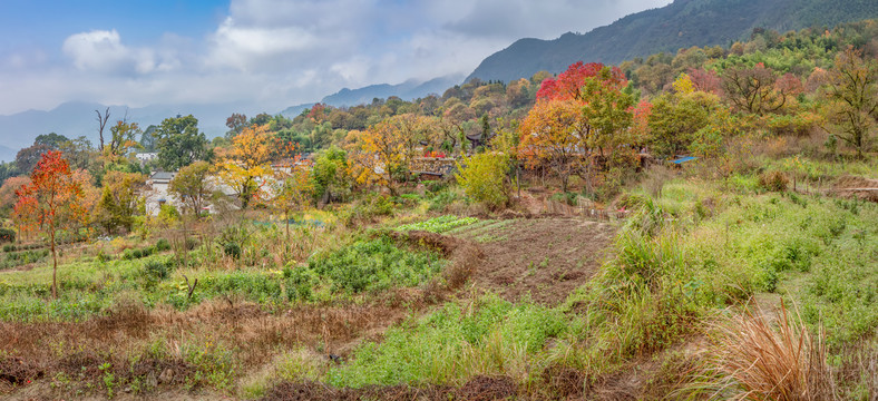 塔川秋色全景图