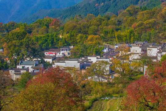 塔川秋色