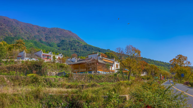 塔川秋色全景图