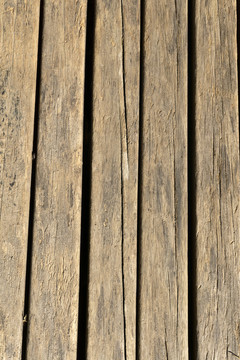 木制地板