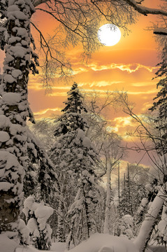 冬天夕阳雪景