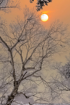 冬天夕阳雪景