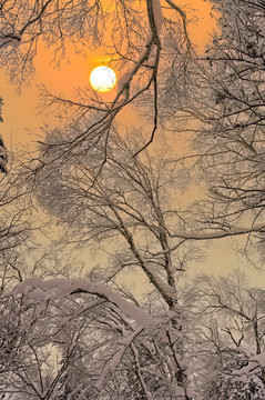 冬天夕阳雪景