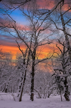 冬天夕阳雪景