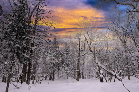 冬天夕阳雪景