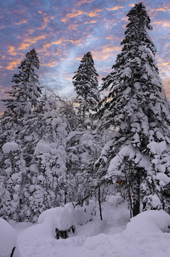 冬天夕阳雪景