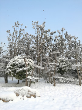 雪后初晴