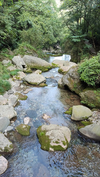 青城后山