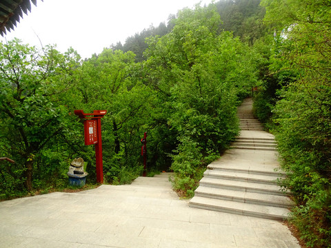 景区步道