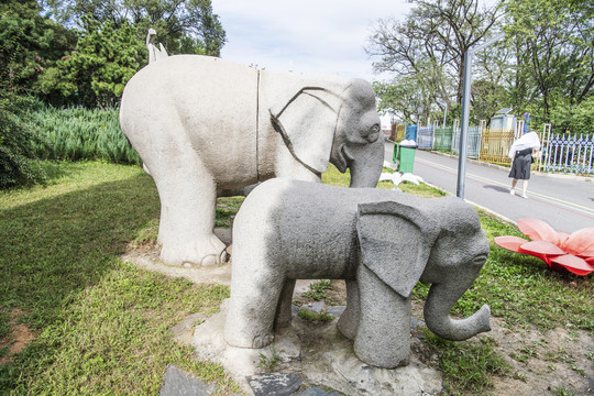 鞍山动物园两只大象石雕像