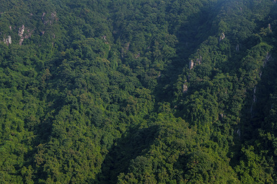 黄巢山峭壁森林