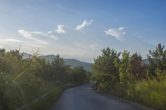 黄巢山山路