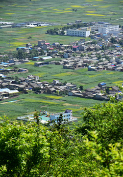 蓝天绿树新农村