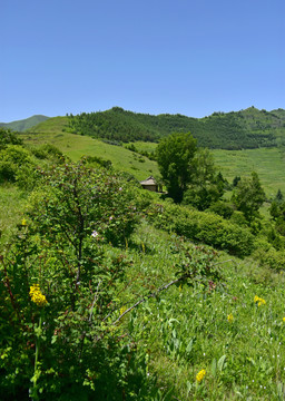 蓝天白云青山绿树