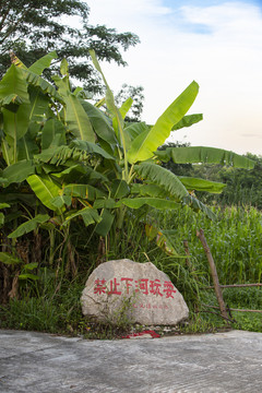 防溺水