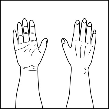 人體經(jīng)絡(luò)輪廓