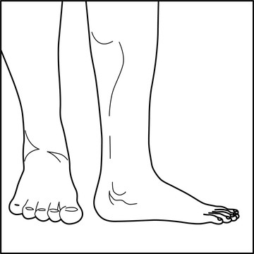 人體經(jīng)絡(luò)輪廓