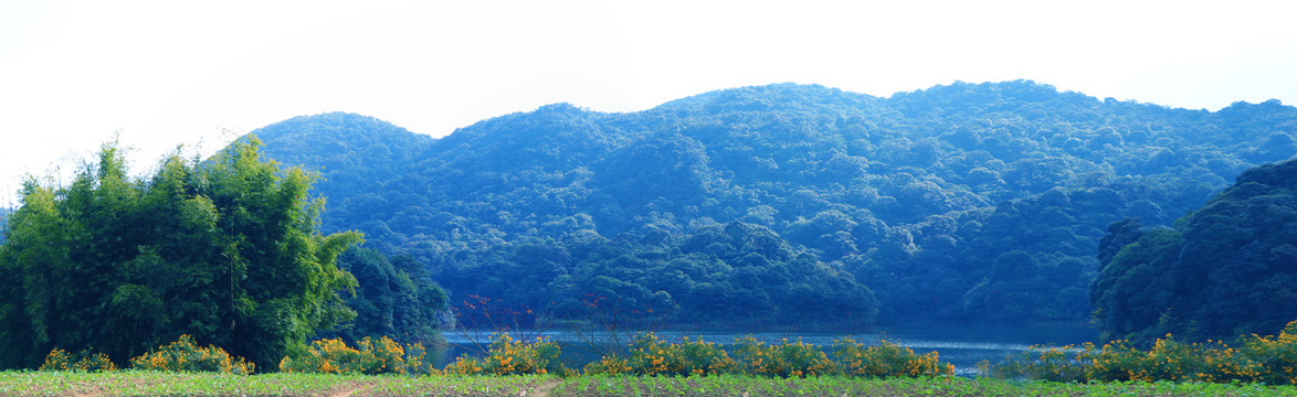 青山绿水