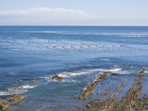 海洋