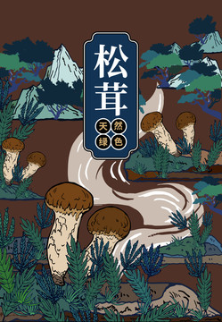 松茸禮盒包裝