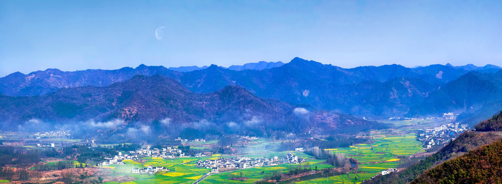 柯村油菜花全景图