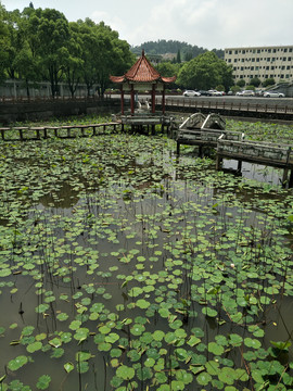 东江师范校园