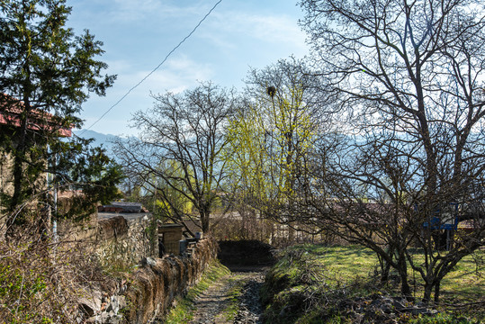 山居春色