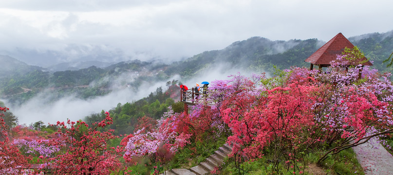 安徽岳西天峡风光