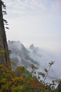 安徽黄山风景