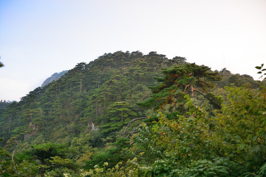 安徽黄山风景