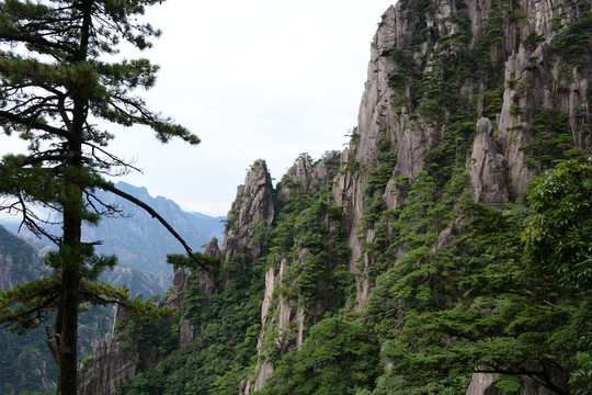 黄山风光