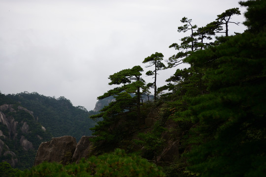 黄山风光