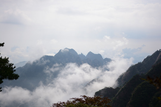 黄山奇峰