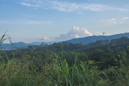 福建山林丘陵风景