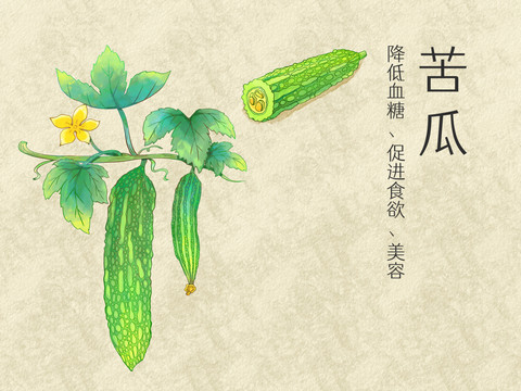 手繪水彩蔬菜苦瓜插畫