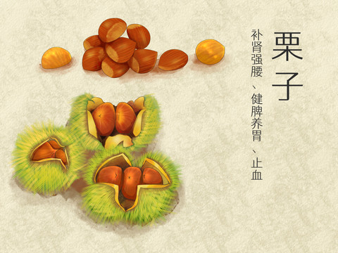 手繪水彩食物栗子插畫
