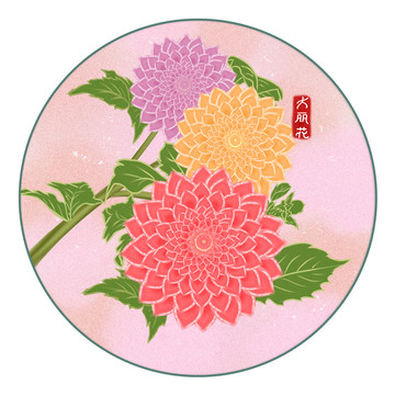 大麗花