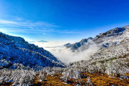 高山云海