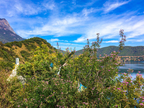 泸沽湖风光