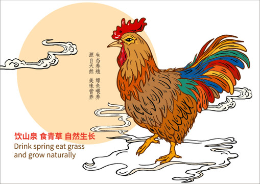 雞包裝2