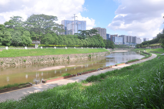 城市河流