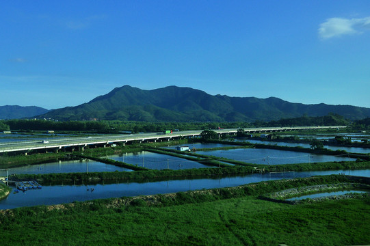 乡村风光