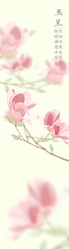 花卉插畫