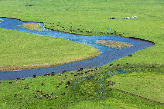 草原蒙古包马群河流牧场