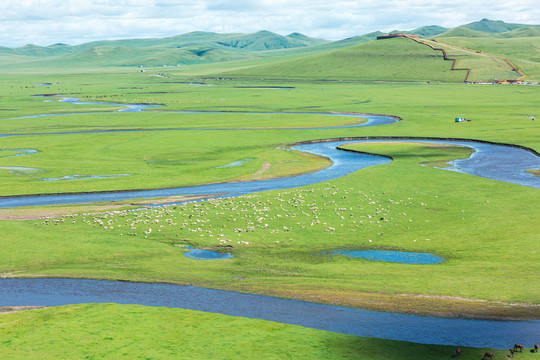 草原河流羊群牧场夏天