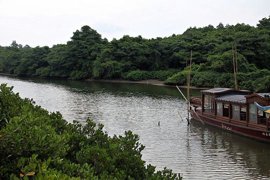 海南红树林保护区