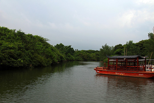 海南红树林保护区